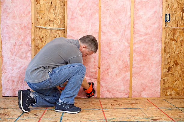 Trusted Kapolei, HI Insulation Experts